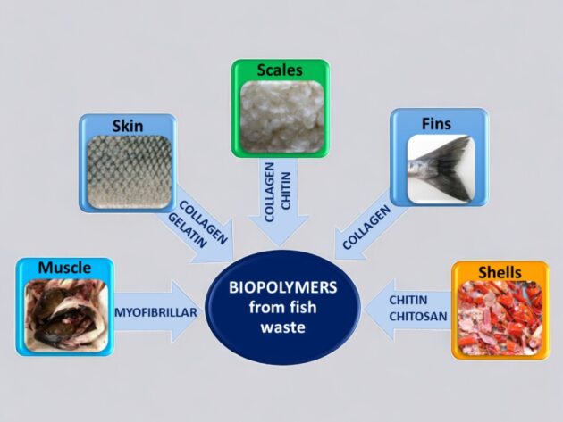 Functional Food